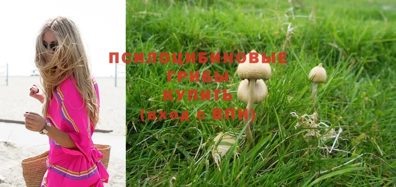 Псилоцибиновые грибы Magic Shrooms  Ак-Довурак 